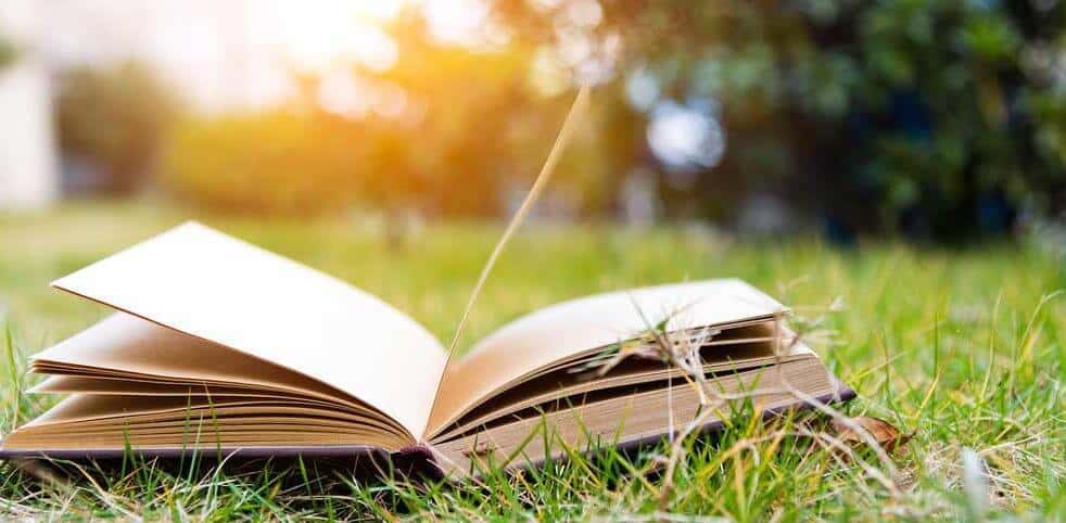Open book in a field of grass with the light shining on it