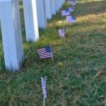 American Flags get placed in front of tombstones for Veterans Day